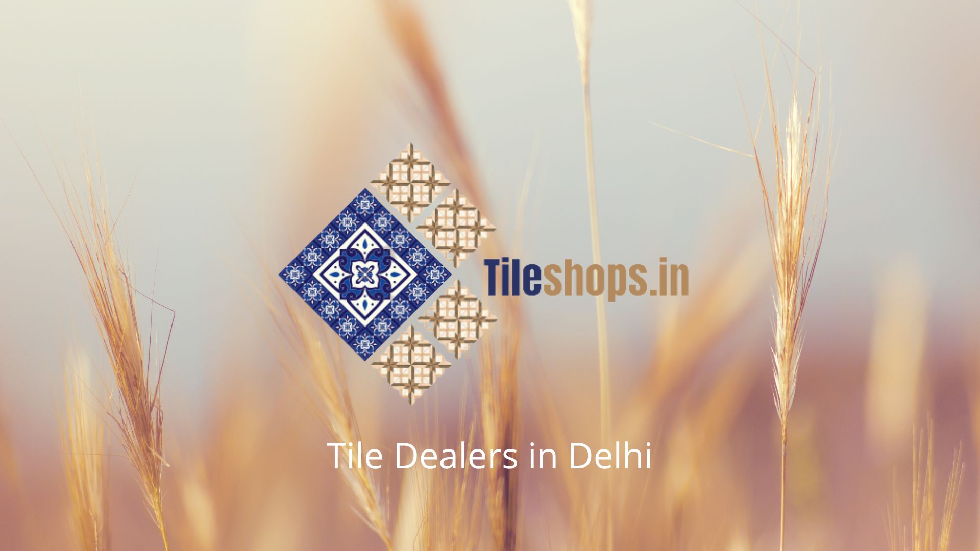 Tile Dealers in Delhi