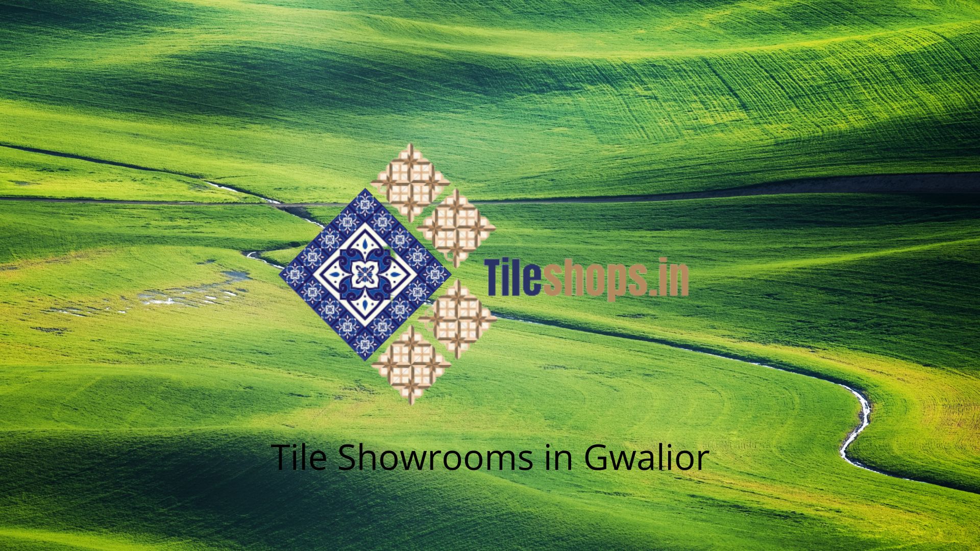 Tile Showrooms in Gwalior